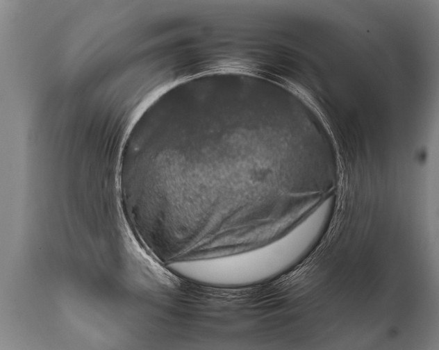 X0000112011339200908171434