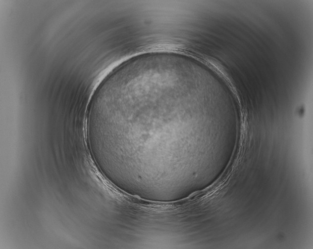 X0000112011340200908171434