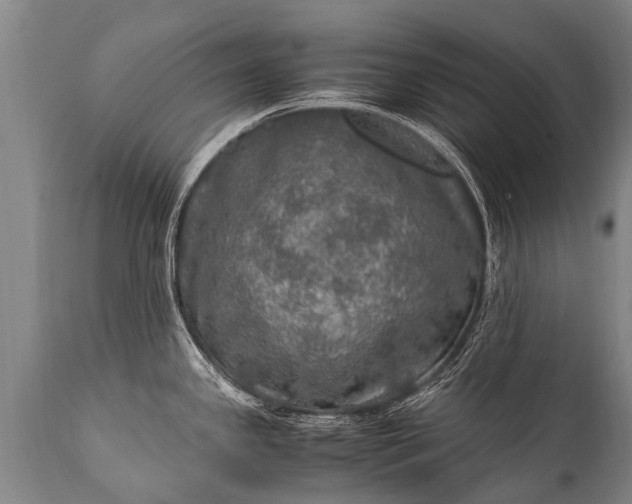 X0000112011341200908171434