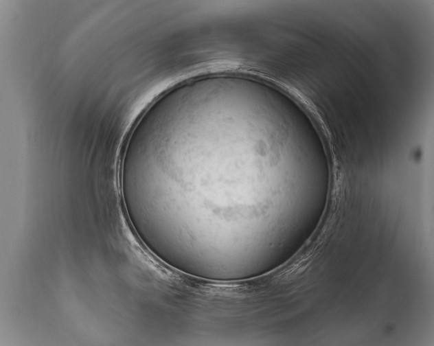 X0000112011342200908171434