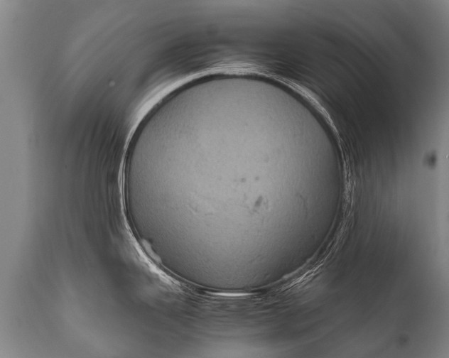 X0000112011343200908171434