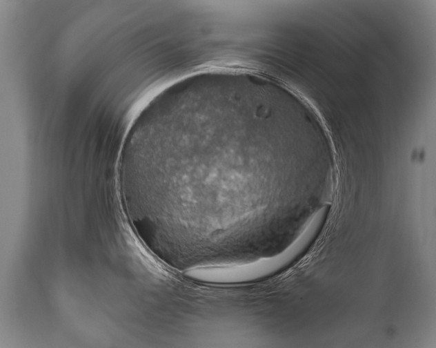 X0000112011344200908171434