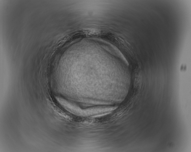 X0000112011345200908171433