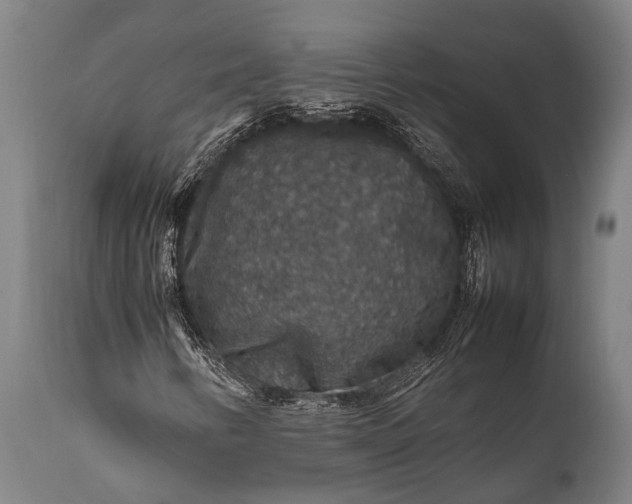 X0000112011346200908171433