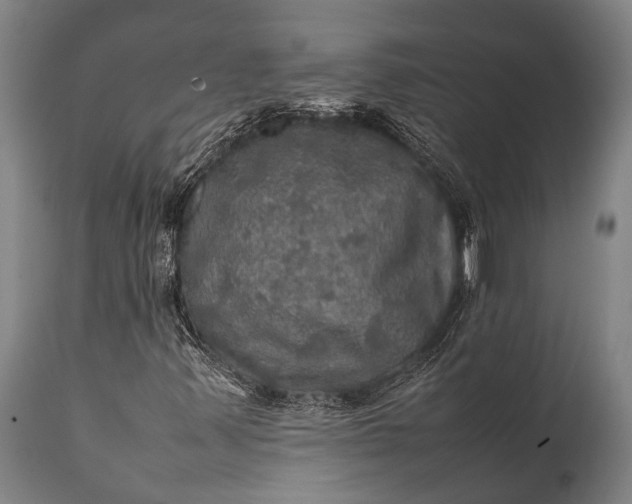 X0000112011347200908171433