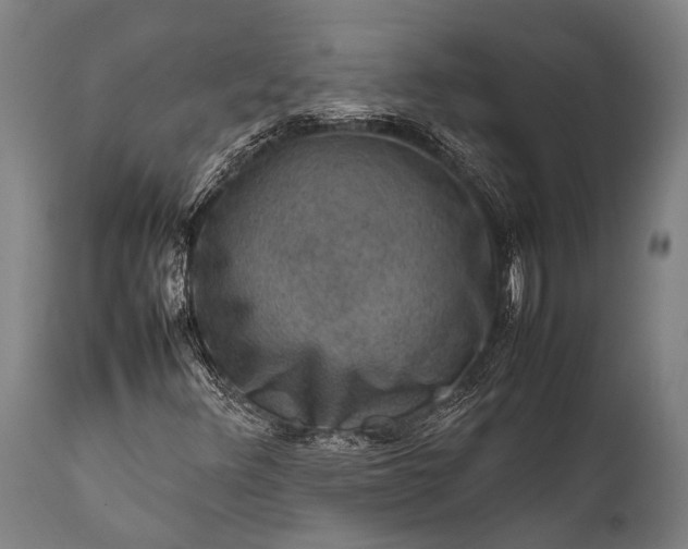 X0000112011348200908171433