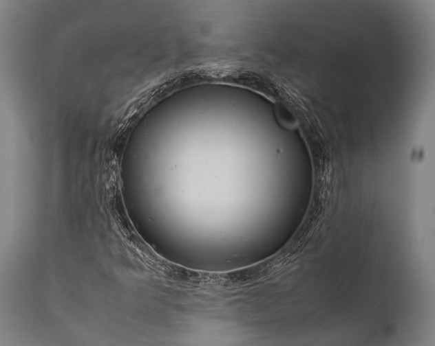 X0000112011349200908171433