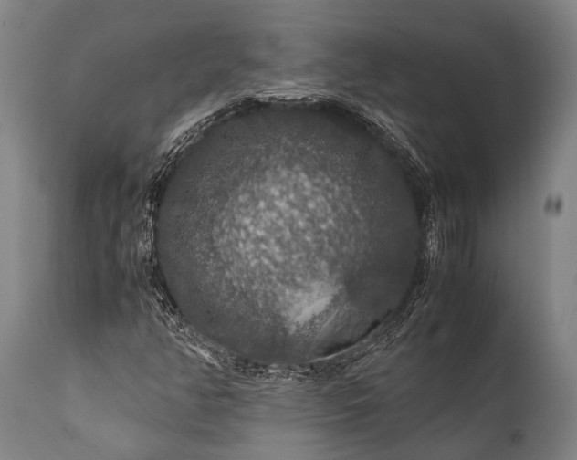 X0000112011350200908171433