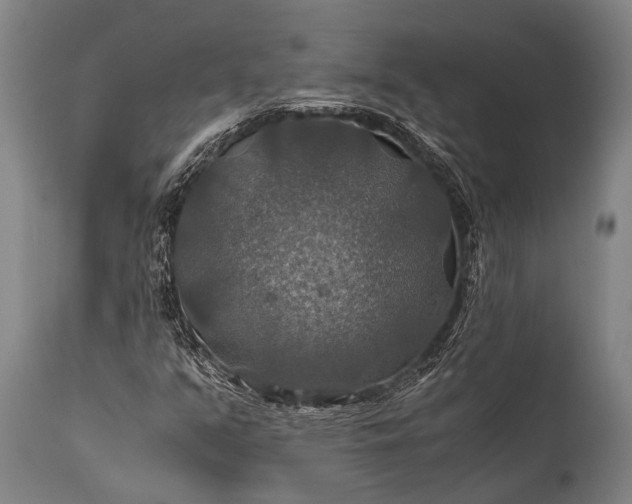 X0000112011351200908171433