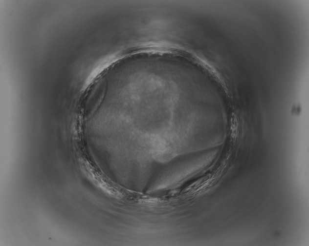 X0000112011352200908171433