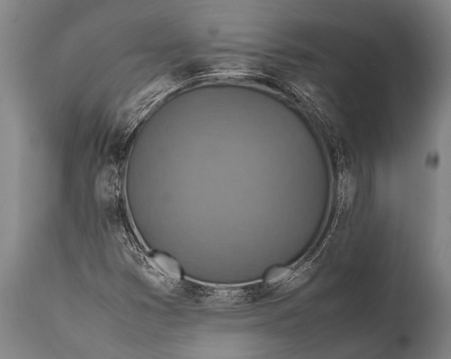 X0000112011353200908171433