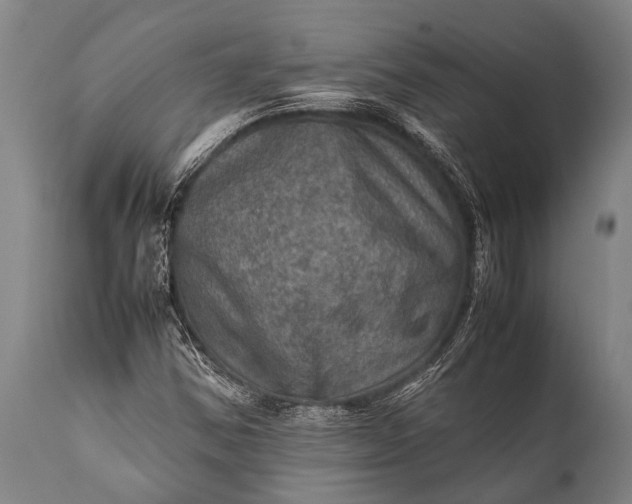 X0000112011354200908171433