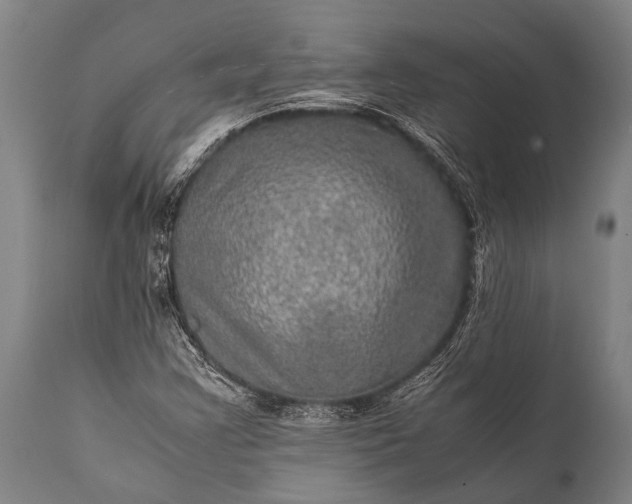 X0000112011355200908171433