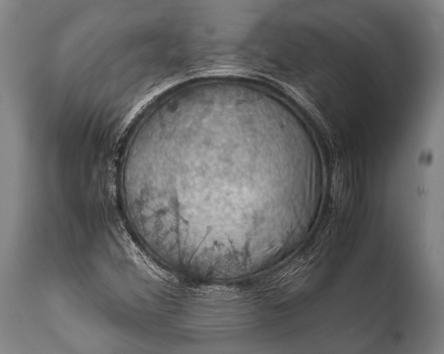 X0000112011356200908171433