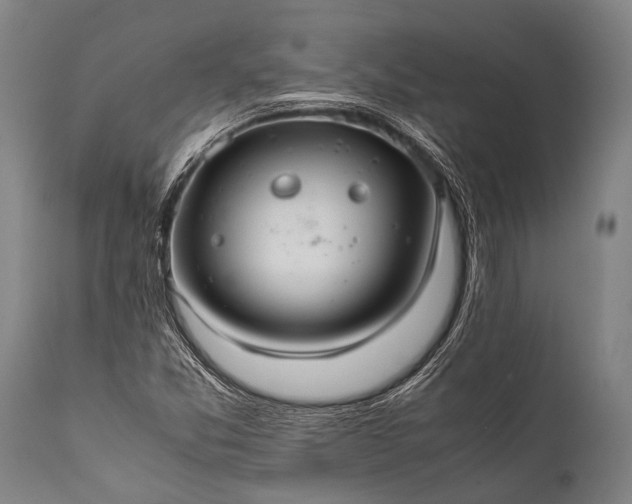 X0000112011357200908171433