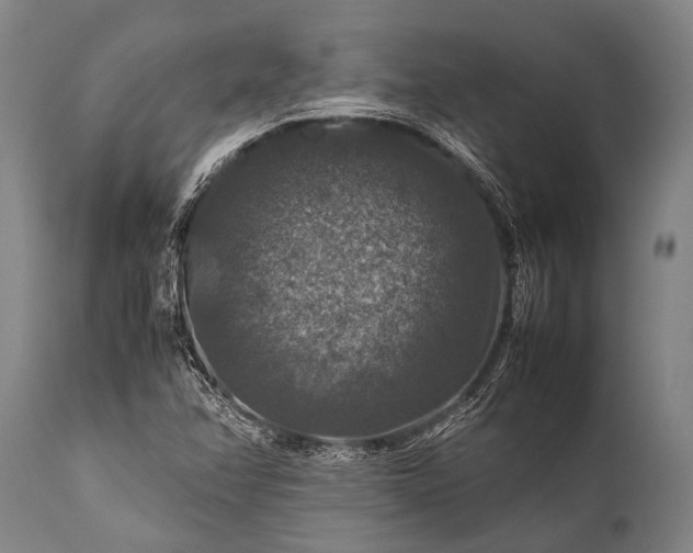 X0000112011358200908171433