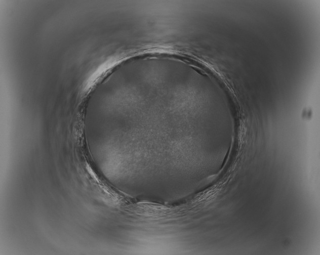 X0000112011359200908171433