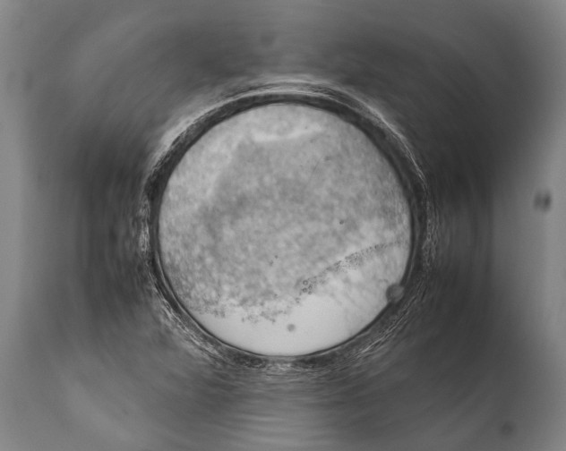 X0000112011360200908171433