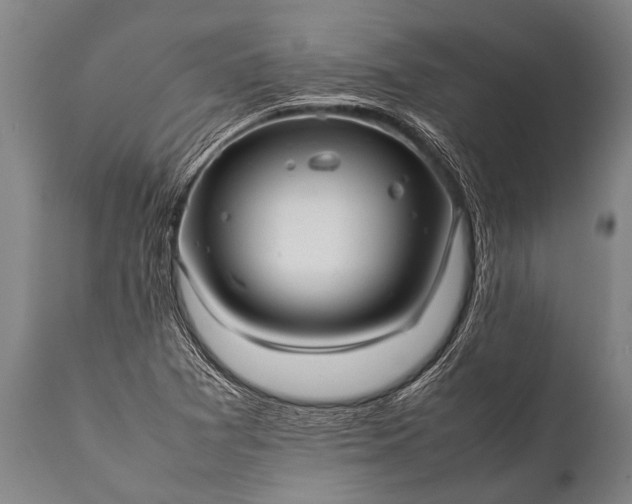 X0000112011361200908171433