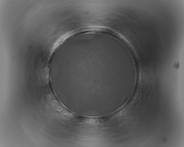 X0000112011362200908171433