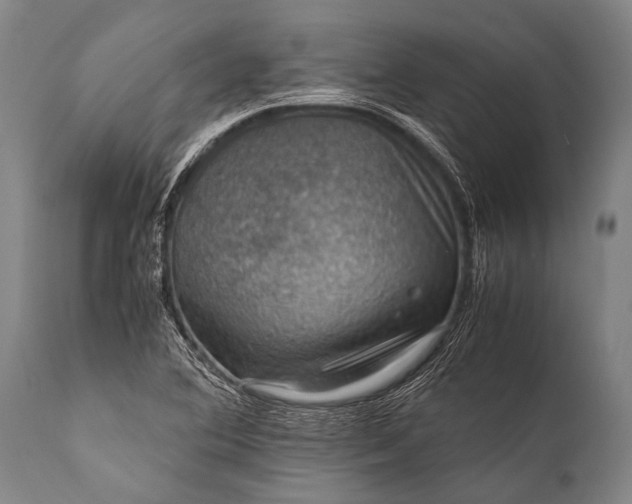 X0000112011364200908171433