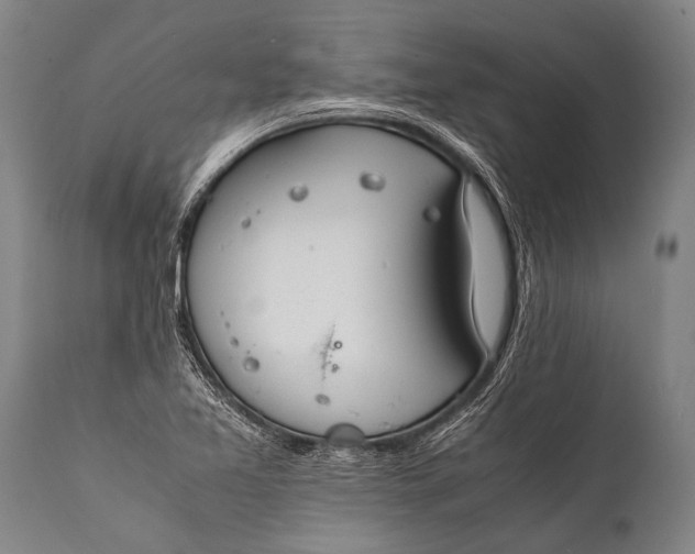 X0000112011365200908171433