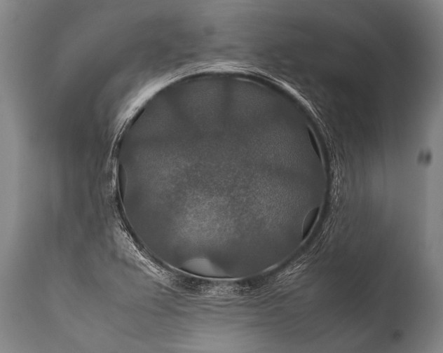 X0000112011367200908171433