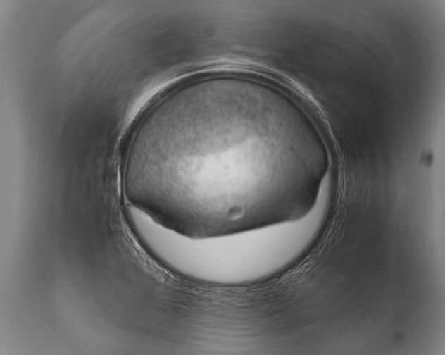 X0000112011368200908171433