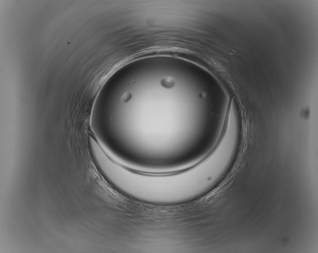 X0000112011369200908171433