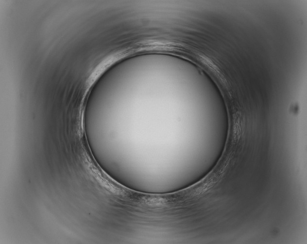 X0000112011370200908171433