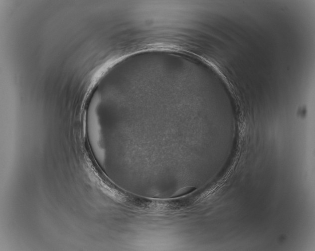 X0000112011371200908171433