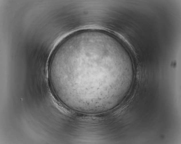 X0000112011372200908171433