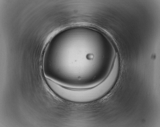 X0000112011373200908171433