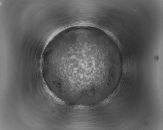 X0000112011374200908171433