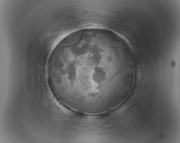 X0000112011375200908171433