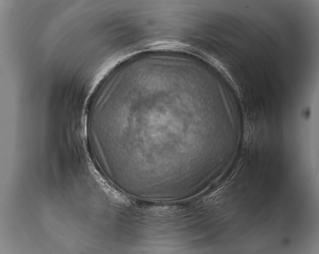 X0000112011376200908171433