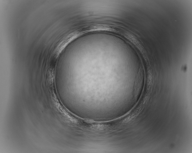 X0000112011377200908171433