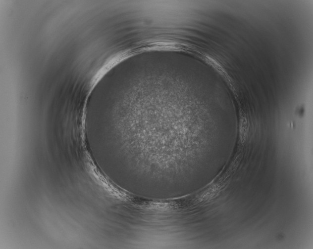 X0000112011378200908171433