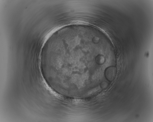 X0000112011379200908171433