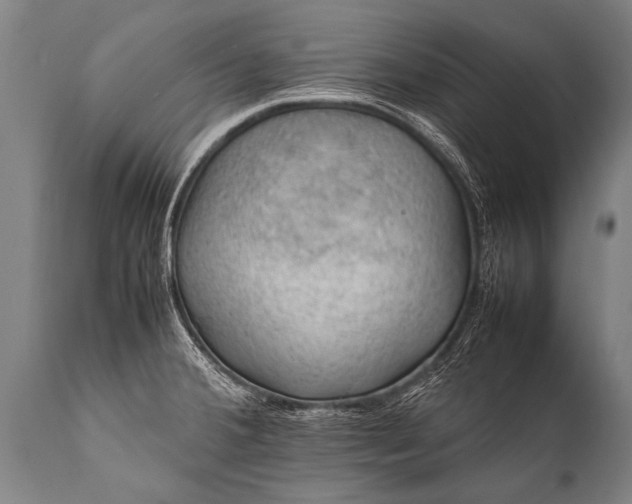 X0000112011380200908171432