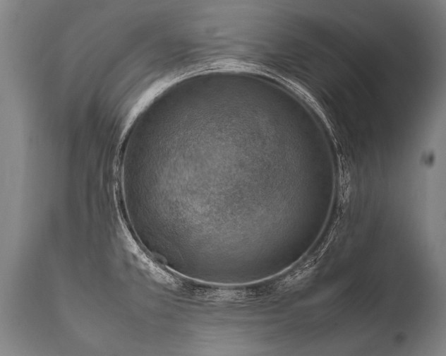 X0000112011381200908171432