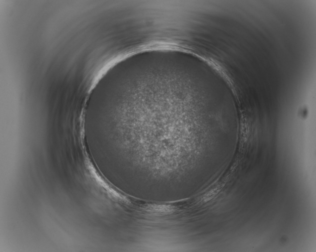 X0000112011382200908171432