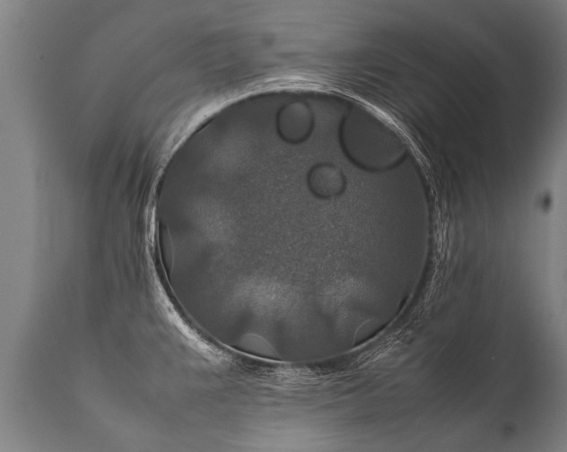 X0000112011383200908171432