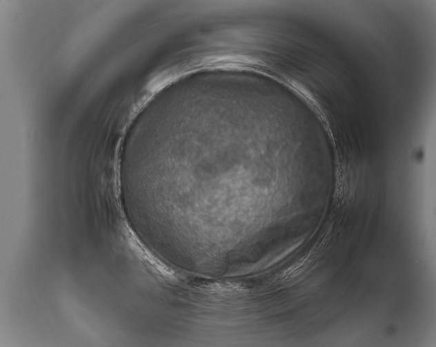 X0000112011384200908171432