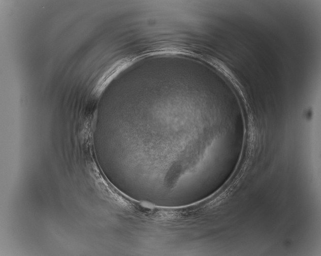 X0000112011385200908171432