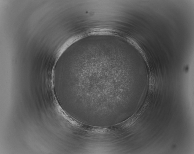 X0000112011386200908171432