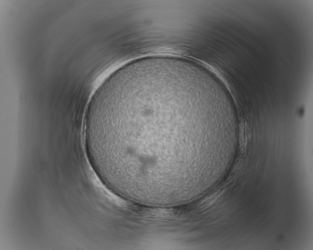 X0000112011387200908171432