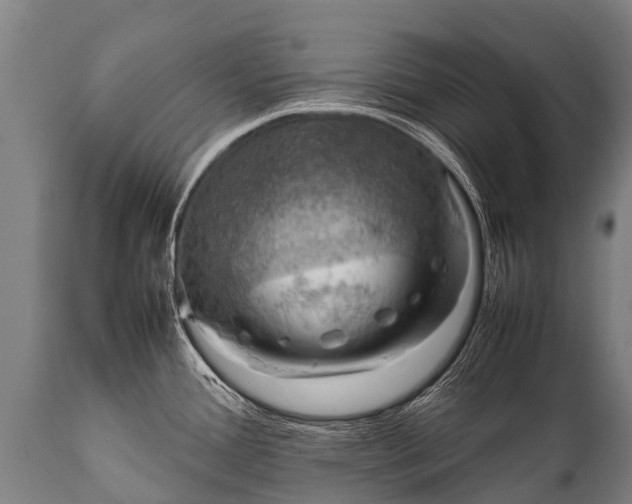 X0000112011388200908171432