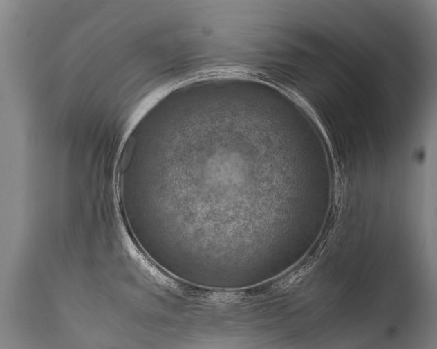 X0000112011389200908171432