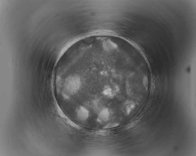 X0000112011390200908171432